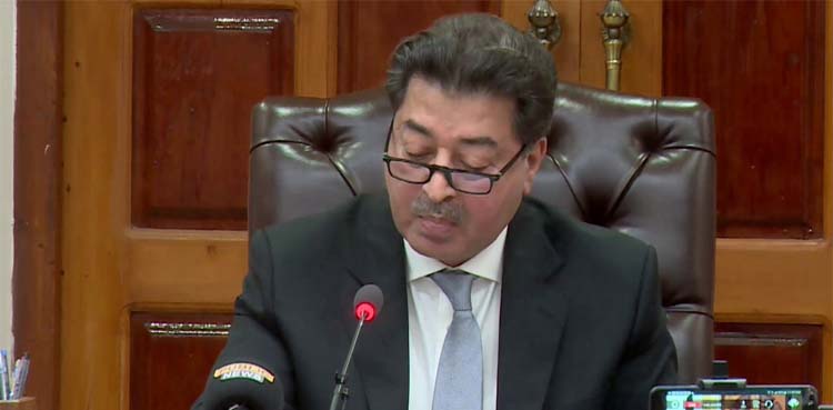ballot paper snatching, NA-240 by election, ECP hearing