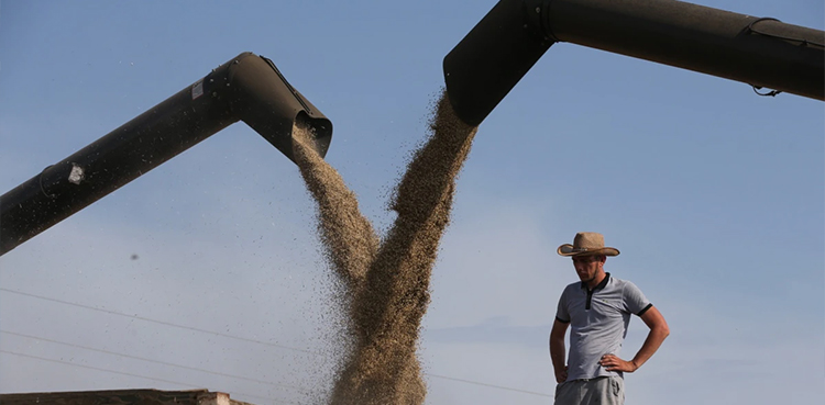 Ukraine grain export deal, extended for four months