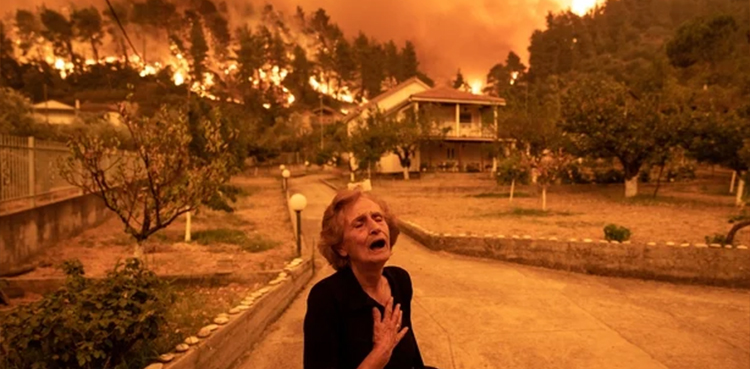 Los Angeles wildfire, panicked evacuations
