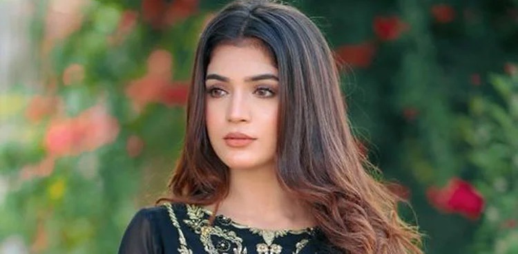 actor laiba khan, viral instagram pictures