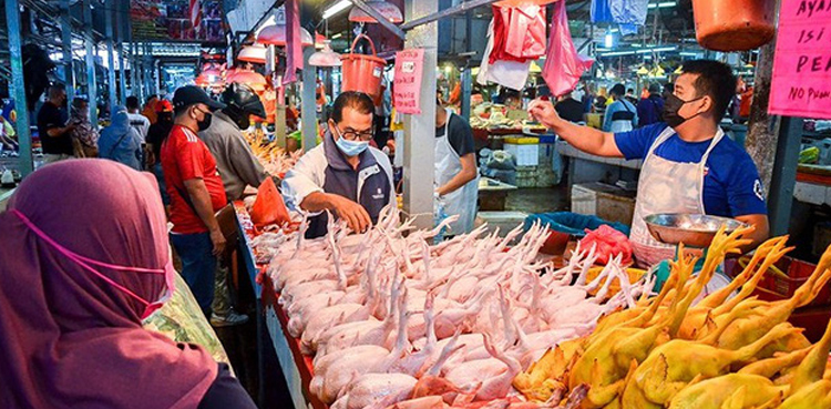 Malaysia chicken export ban