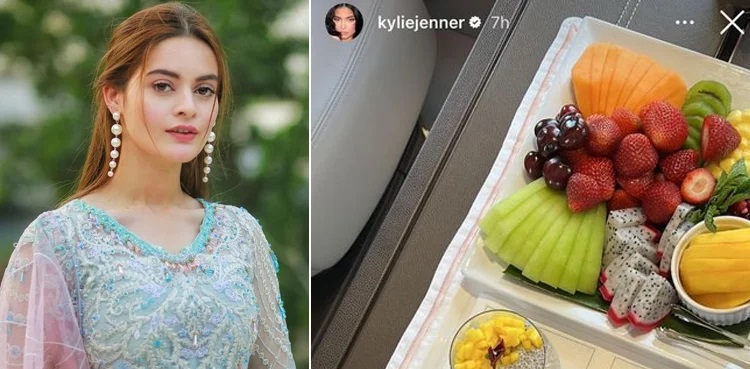 Minal khan, kylie jenner, fake story
