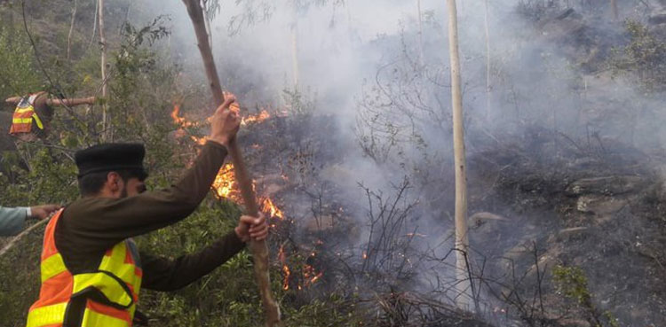 Chile forest fires, 10 feared dead