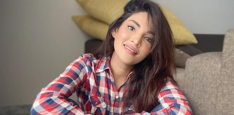Zhalay Sarhadi, Actor, TikTok videos, lip-synced