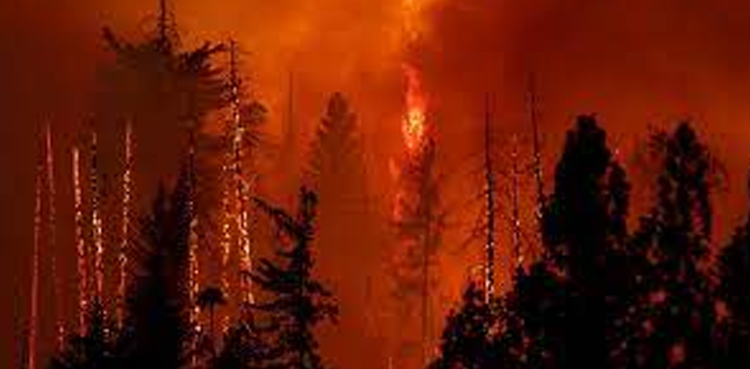 Germany heatwave, Berlin forest fire, munition store blast