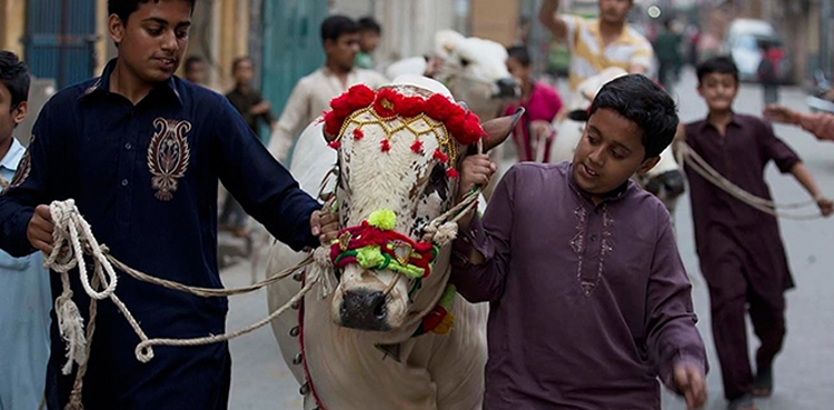 Eidul Adha 2025, holidays, Pakistan, Federal govt