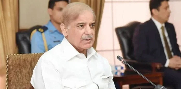 Shehbaz Sharif, PM, Power plants, Inquiry commission