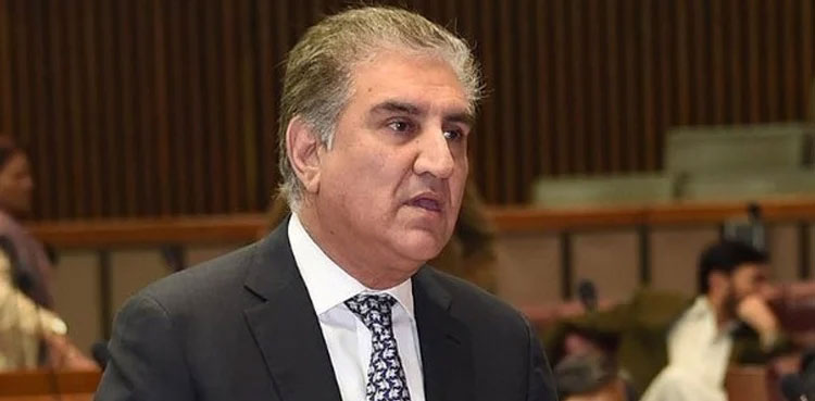 Shah Mehmood Qureshi, govt, Rupee devaluation