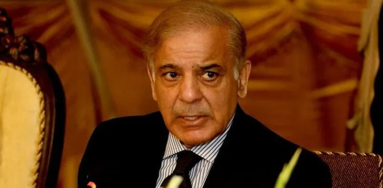 shehbaz sharif, flood relief fund,