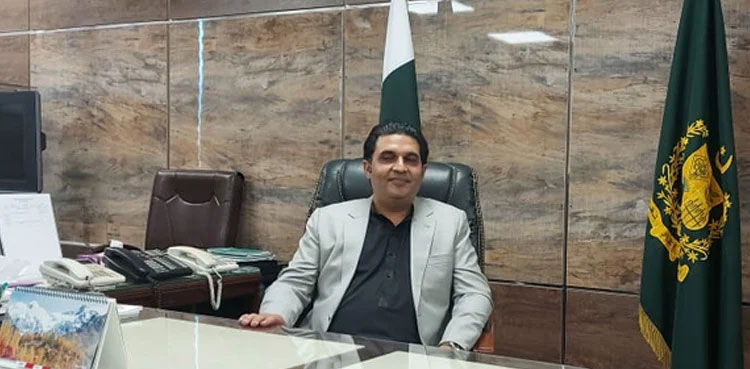 Abid Hussain Bhayo, Privatisation Commission, Chairman