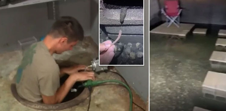 Viral, TikTok star, eel pit, basement, Kentucky