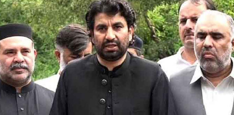 Qasim Suri properties, Supreme Court, election petition