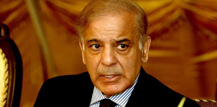 Govt forms Jirga, talks over law and order, Swat