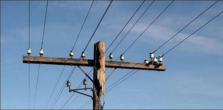 Sacrificial animal, dies, electrocution, Karachi