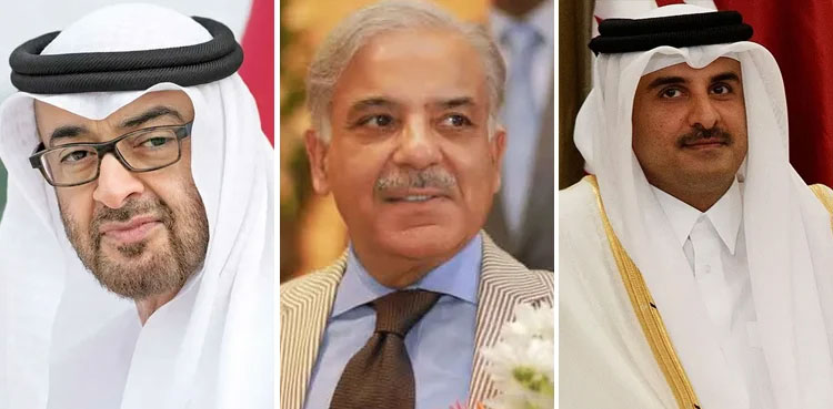 PM, Shehbaz Sharif, Eid greetings, Qatari Emir, UAE president