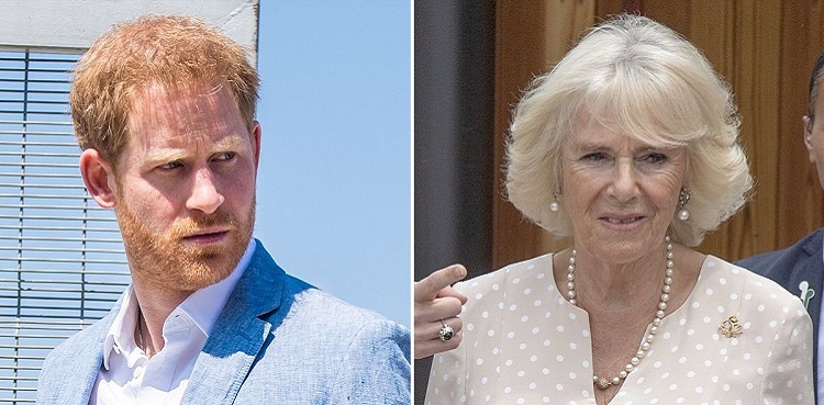 prince harry memoir, duchess camilla