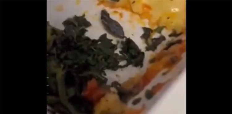 Flight attendant, snake head, viral video