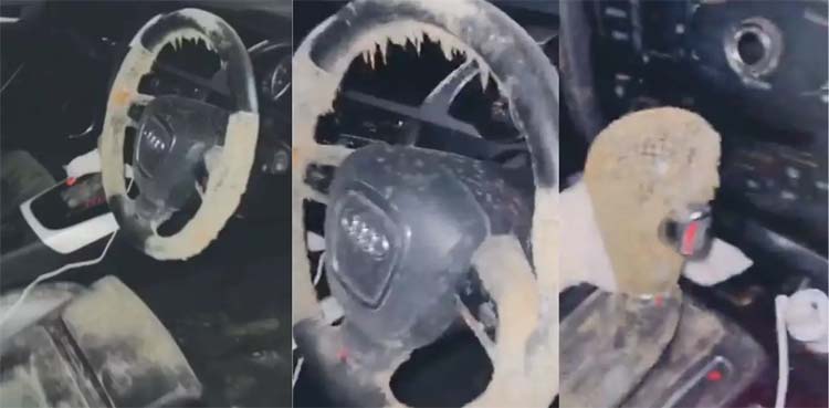 tiktok video, mould car