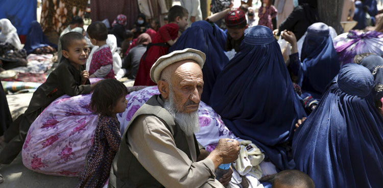 Afghan, registration, citizen card
