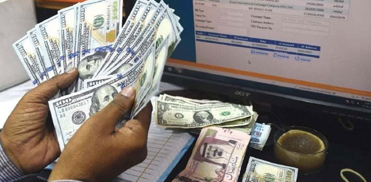 Exchange-companies,-SBP,