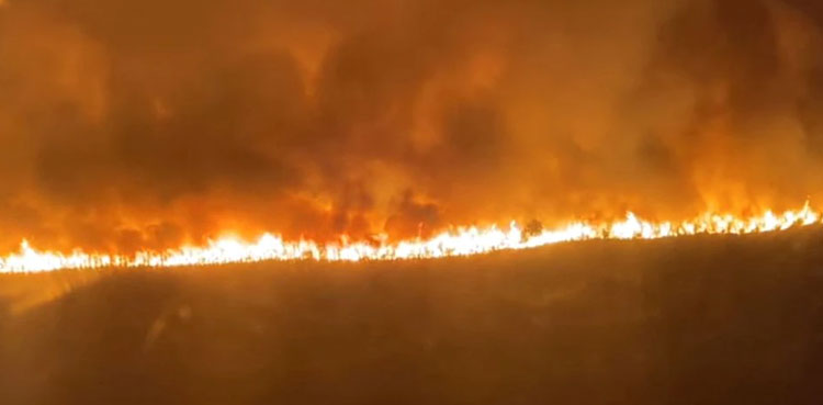 France, Wildfire, evacuation, Wildfires rage