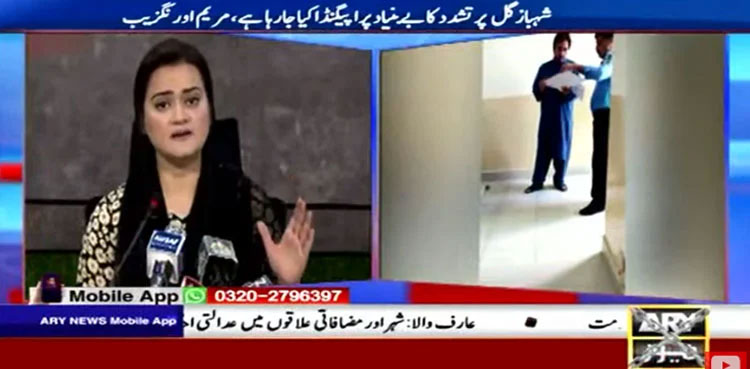 Marriyum Aurangzeb, Shahbaz Gill, Torture, PTI