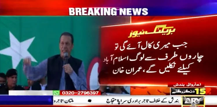 Imran Khan, Pakistan Tehreek-e-Insaf, PTI, Party workers