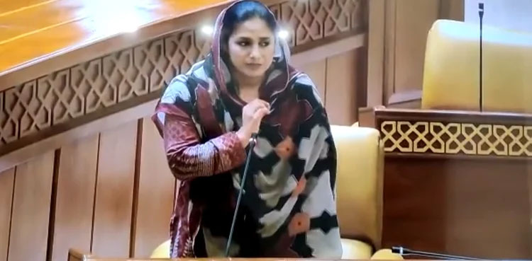 PPP,-Shazia-Abid