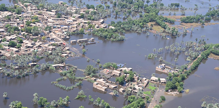 growth rate, floods, NFRCC, crops, cattle, homes
