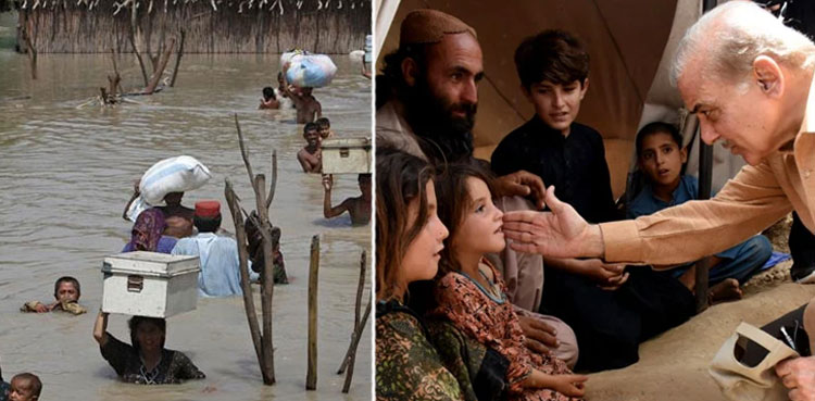 Shehbaz Sharif, Visit, Flood-hit, Sindh