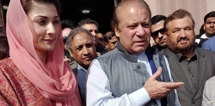 Nawaz Sharif, opposed, petrol prices, Maryam Nawaz