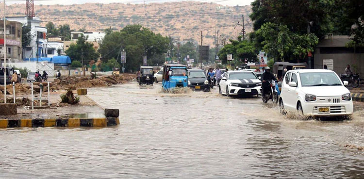 221 rain-related deaths, Pakistan, NDMA