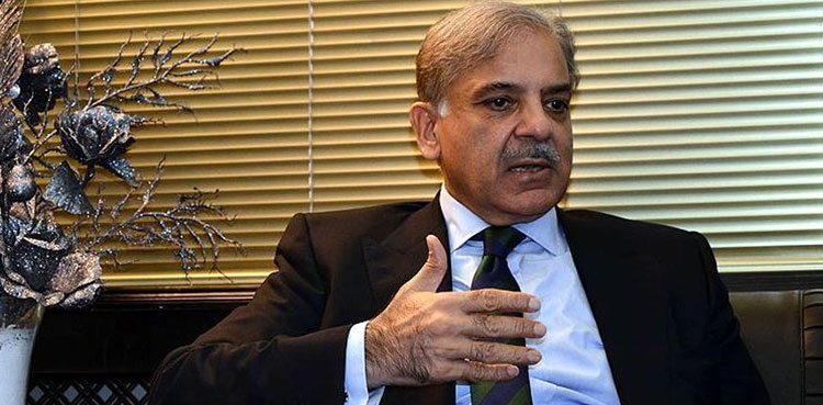 PM Shehbaz Sharif
