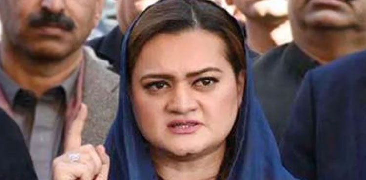 audio leak, marriyum aurangzeb, shehbaz sharif,