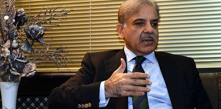 PM Shehbaz Sharif,. relief operations, flood-hit areas