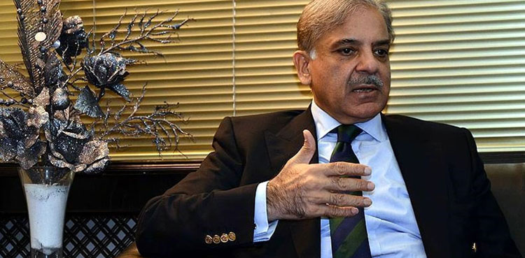 PM Shehbaz Sharif, London, Pakistan floods