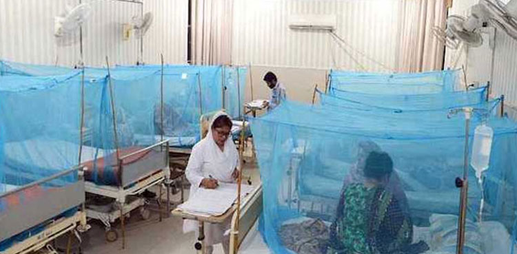 dengue, Rawalpindi , Punjab