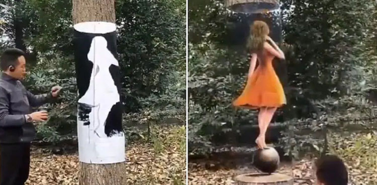 Viral, artist, optical illusion, tree trunk
