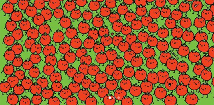 apple, tomatoes, puzzle,