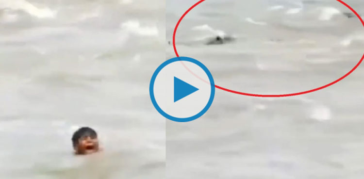 Drowning child rescued from river full of crocodiles, video goes viral