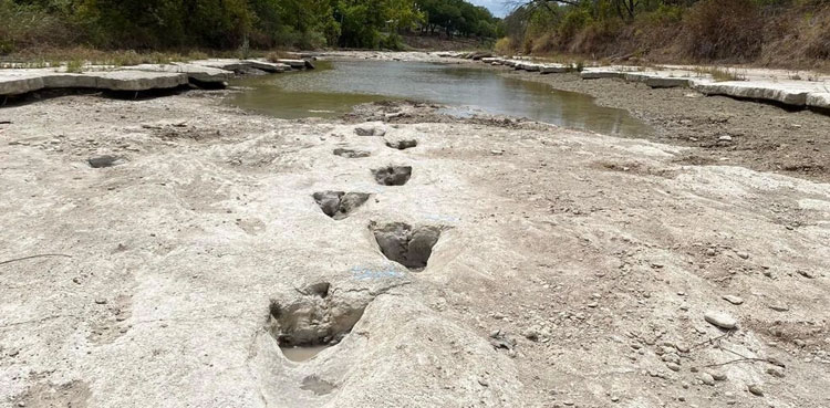 dinosaur, dinosaur tracks, united states,