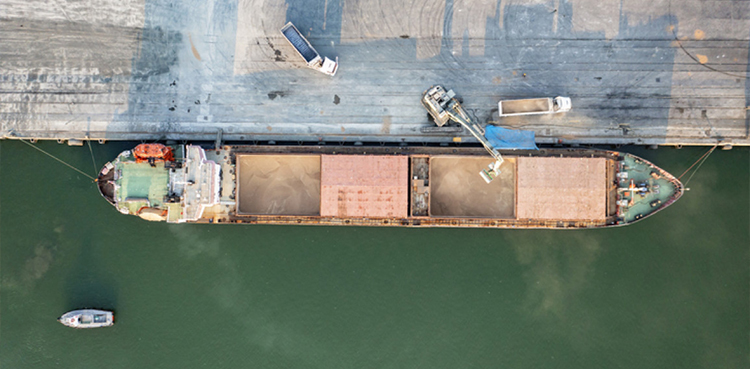 Ukraine food cargo, Ukrainian ports, grain deal