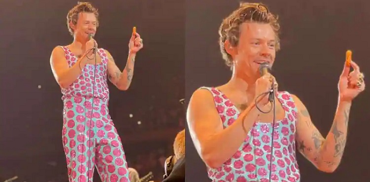 harry styles chicken nuggets viral video
