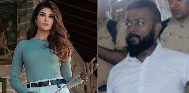 jaqueline fernandez conman sukesh chandrashekhar extortion case