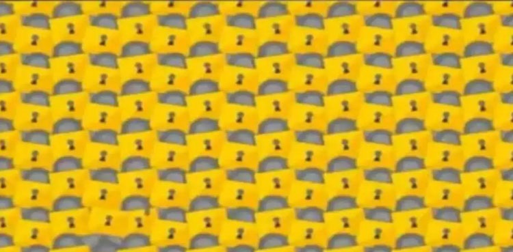 optical--illusion-locks