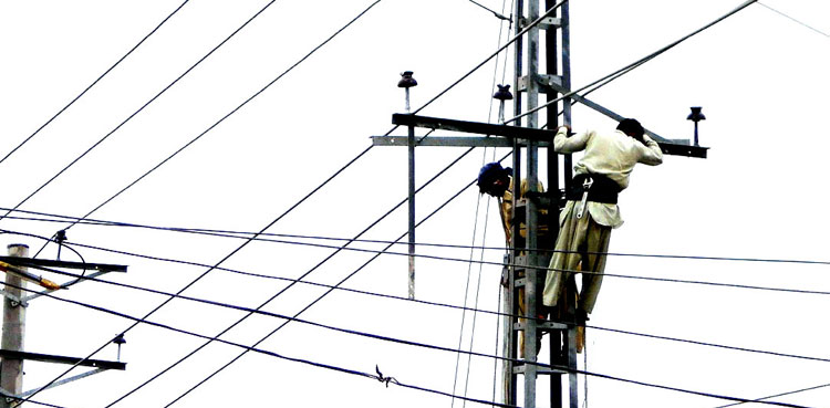 Wapda Employees