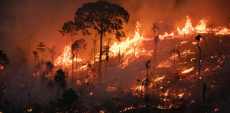 Wildfires rage, Brazil, Sao Paulo