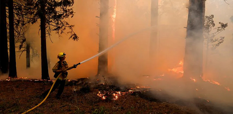 Two dead, Spain fire, Europe heatwave