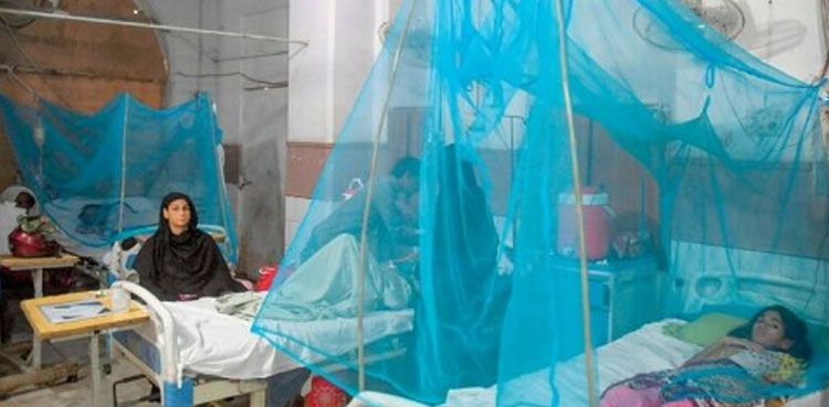 Islamabad, dengue fever cases, DHO Islamabad