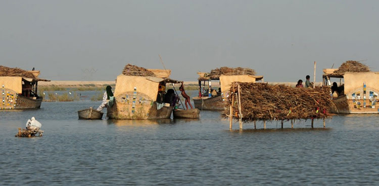manchhar lake water level